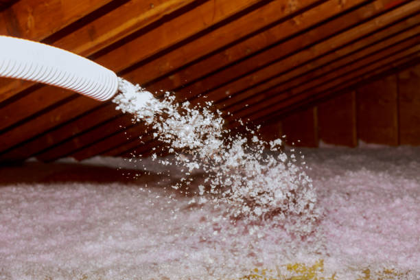 Best Insulation Maintenance and Repair in Parklawn, CA